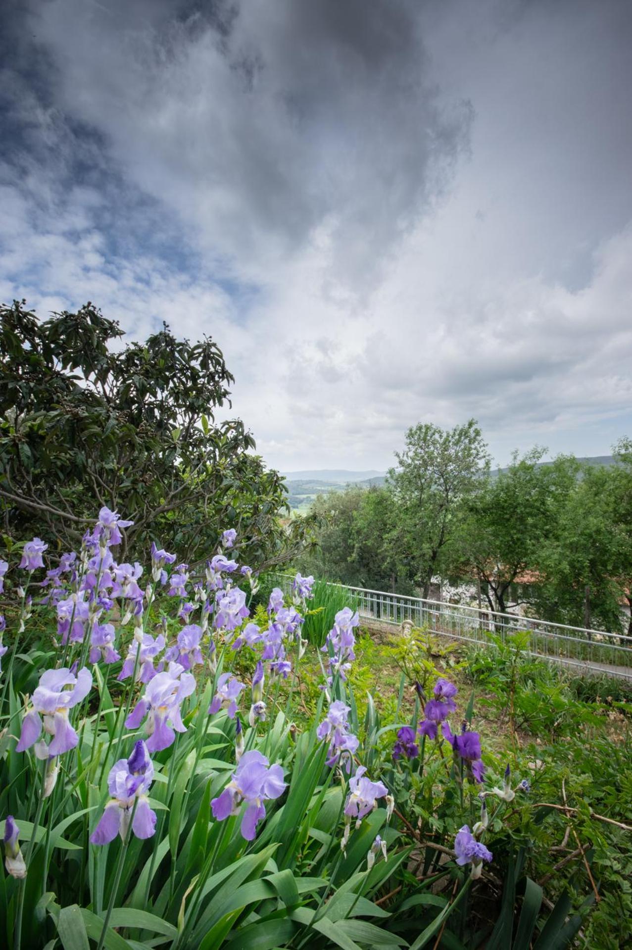 Villa Panoramica Garden Bike 마사마리티마 외부 사진